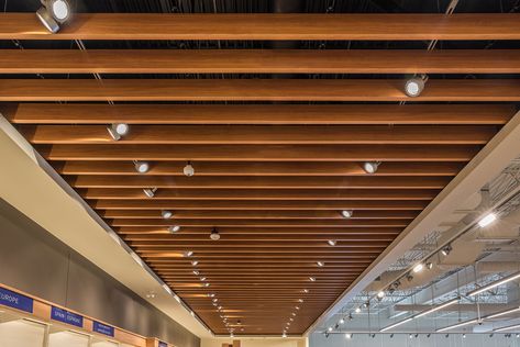 Baffle Ceiling, Acoustic Baffles, Sustainable Interior, Sustainable Interior Design, Eco Friendly Building, Peaceful Environment, Basement Ceiling, Ceiling Detail, Sophisticated Decor