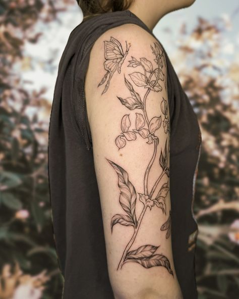 Had so much fun doing this upper arm piece a while back!! Loved mixing plain linework with soft shaded leaves, really liked the textural differences it created! :) #botanicaltattoo #blackwork #linework #floraltattoo #dragonflytattoo #insecttattoo #cottagecore Cottagecore Tattoo Ideas, Cottagecore Tattoo, Insect Tattoo, Botanical Tattoo, Dragonfly Tattoo, Upper Arms, Blackwork, I Tattoo, Tattoo Ideas