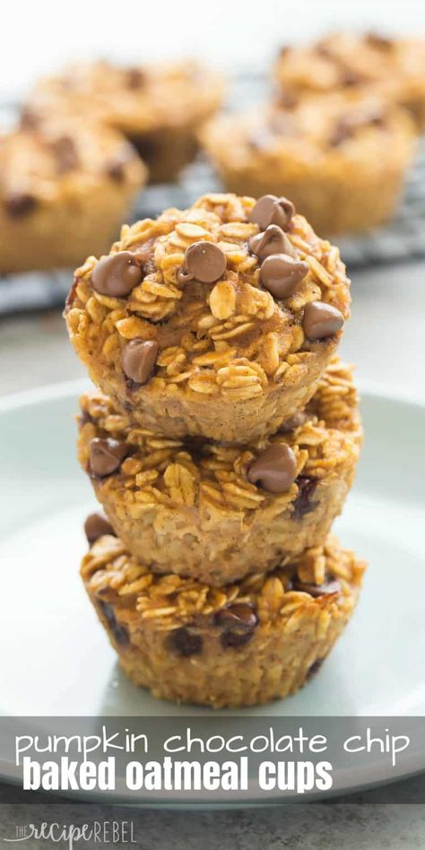 Chocolate Chip Baked Oatmeal, Recipe Healthy Breakfast, Easy And Healthy Breakfast, Breakfast Protein, Baked Oatmeal Cups, Oatmeal Cups, Pumpkin Chocolate Chip, Pumpkin Chocolate Chips, No Calorie Foods