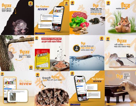 https://www.behance.net/gallery/176325627/Social-media-post-design-(Chaya-pest-control) Pest Control Social Media Post, Social Media Post Design, Post Design, Behance Net, Design Product, Pest Control, Freelancing Jobs, Media Post, Product Design