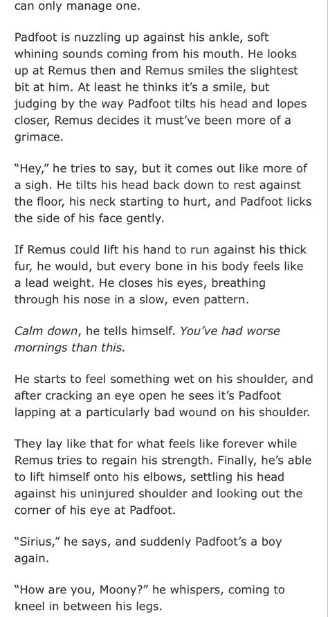 wolfstar nothing on my mind 15/21 Wolfstar Nothing On My Mind, Wolfstar Scenarios, Marauders Stories, Wolfstar Headcanons, Wolfstar Stories, Remus And Sirius, Fan Fiction Stories, Harry Potter Ships, Fiction Stories