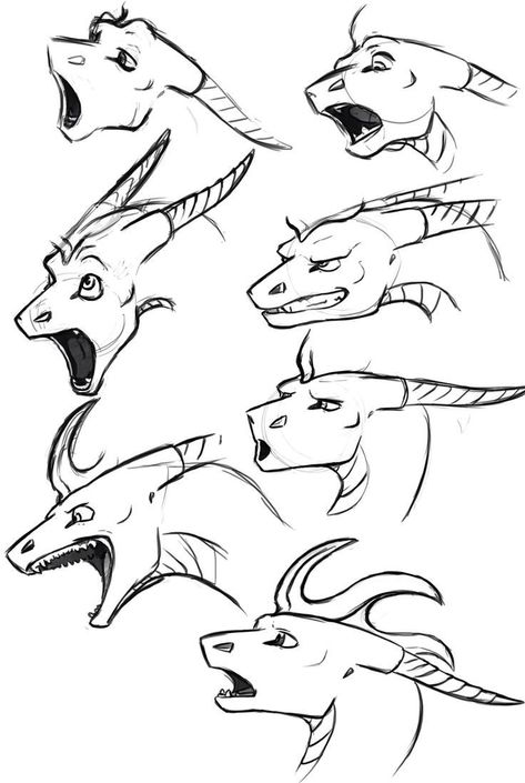 Dragon Bases Drawing, Dragon Face Drawing, Dragon Drawing Sketches, Dragon Faces, Dragon Sketches, Dragon Reference, Drawing Dragons, Dragon Poses, Dragon Anatomy