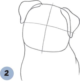 Pug Drawing Easy Step By Step, How To Draw A Pug Step By Step, How To Draw A Pug, Pugs Drawing, Pug Drawing, Dog Drawing Tutorial, Pug Dog Puppy, Pug Art Print, Drawing Dogs