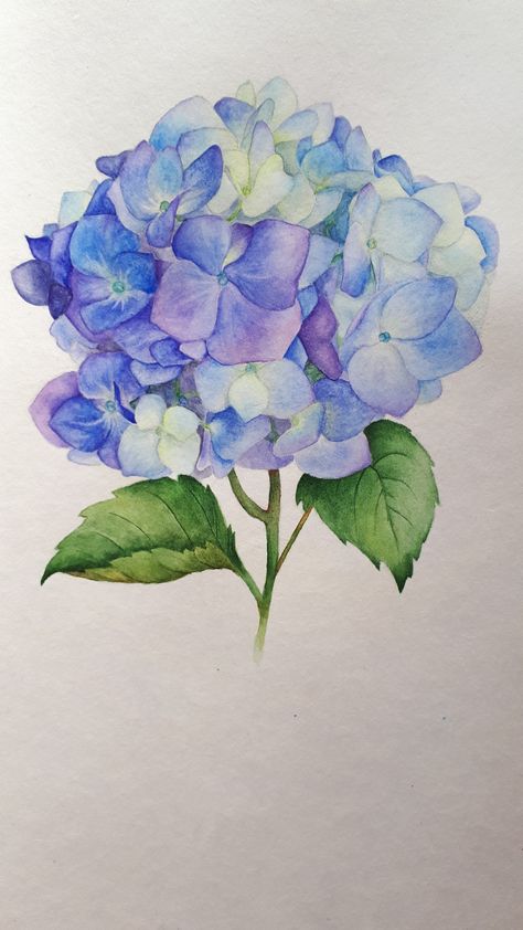 Hydrangea Watercolor, Hydrangeas Art, Watercolor Hydrangea, On Tattoo, Hydrangea Painting, Watercolor Flowers Tutorial, Diy Watercolor Painting, Flower Watercolor, Watercolor Flower Art