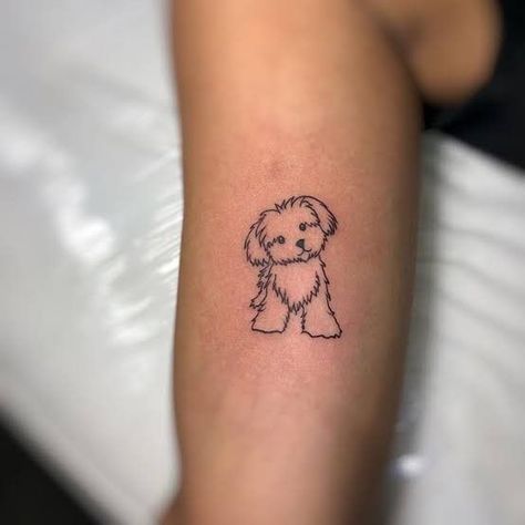 Tattoo studio Life Line Shorkie Tattoo, Maltese Shih Tzu Tattoo, Havanese Tattoo Ideas, Shihpoo Tattoo, Shitzu Tattoo Ideas, Shihtzu Tattoos Minimalist, Maltipoo Tattoo Ideas, Maltese Tattoo Minimalist, Fluffy Dog Tattoo