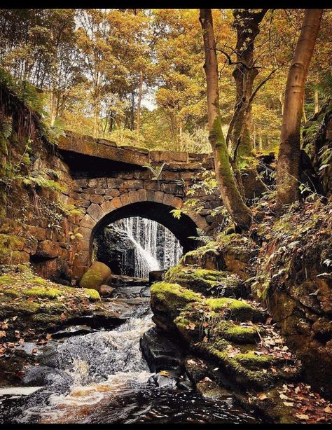 Aesthetic Cottages, Photo Bridge, Caged Bird Sings, The Caged Bird, Hebden Bridge, Beautiful Bridges, Caged Bird, The Caged Bird Sings, Country Birthday