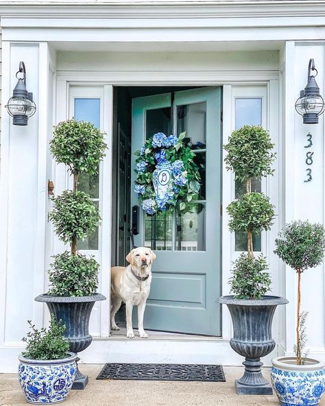 Blue and White Decor (132+ Pieces I Love on Amazon!) - The Inspired Room Railing Planter Boxes, Green Doors, Summer Front Porch Decor, Grand Millennial Style, Green Front Doors, Victoria Magazine, Green Door, French Cottage, Blue Door