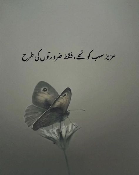 Thoughts Quotes Urdu, Quotes Urdu, Funny Baby Quotes, Poetry Inspiration, Urdu Thoughts, March 27, Baby Quotes, Gallery Frame, Funny Baby