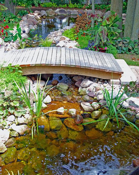 Backyard pond bridge | Flickr - Photo Sharing! Pond Bridge, Kolam Koi, Backyard Ponds, Garden Landscaping Ideas, Garden Pond Design, Air Mancur, Water Stream, Small Pond, Fountains Backyard