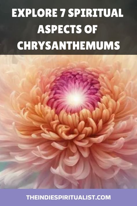 Mystical and rich in symbolism, discover the 7 spiritual meanings of chrysanthemums and how they can transform your life’s journey. Chrysanthemum Flower Meaning, Marigold Spiritual Meaning, Chrysanthemum Spiritual Meaning, Chrysanthemum Stone Meaning, Chrysanthemum Stone, Spiritual Candles, Cycle Of Life, Beacon Of Hope, Animal Symbolism