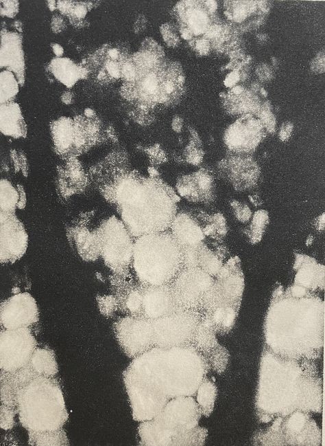 Monotype Forest Landscape Hand Pulled Fine Art  This print was created by covering a glass plate with water based ink and wiping away areas that show as light/white (reductive monotype) before making an impression. A monotype is a one-of-a-kind print, as there is no matrix and it cannot be reproduced. It's basically a painting that's been transferred to paper. This monotype was hand pulled using a baren onto handmade Echizen Kozo paper. The image area is 7.5" x 5.5" and the print would fit nicel Trees Print, Transfer Art, Decorative Paper, Monotype Prints, Leaf Monoprint, Watercolor Monotype Printmaking, Trace Monotype, Subtractive Monotype, Monoprint Art