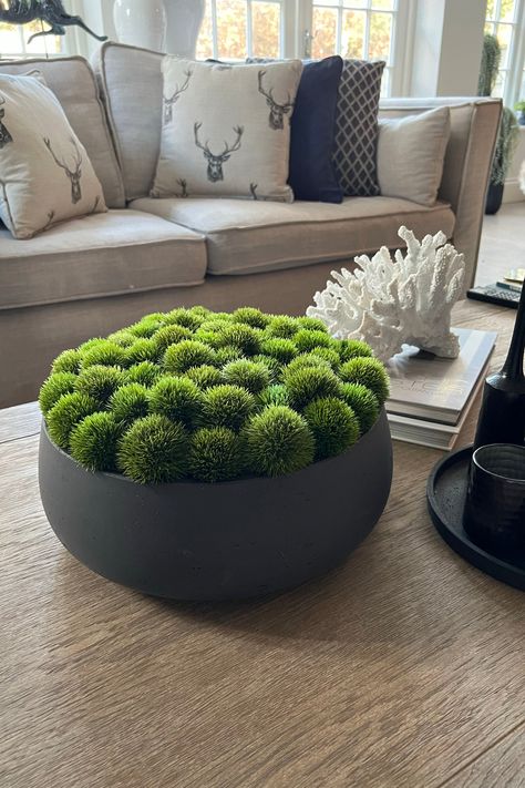 Tactile, vibrant and a gorgeous splash of green, this Dianthus bowl never disappoints. Arranged in an undulating but uniform way. Perfect for a coffee table or round table centre. Dimensions Bowl 35cm(w) x 13cm(h) Arrangement 35cm(w) x 17cm(h) Fake Flowers Arrangements, Round Coffee Table Decor, Top Table Flowers, Everyday Centerpiece, Coffee Table Plants, Succulent Bowls, Elegant Living Room Design, Living Room Plants, Waterfalls Backyard