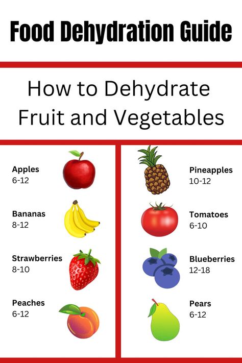 Learn how to dehydrate fruit and vegetables with this food dehydration guide. Get tips for drying food and recipes for your food dehydrator. Dehydrate Cranberries In Dehydrator, Best Dehydrator Recipes, Food Dehydrator Recipes, Specific Carbohydrate Diet Recipes, Food Dehydration, Dehydrated Vegetables, Specific Carbohydrate Diet, Healthy Living Inspiration, Food Dehydrator