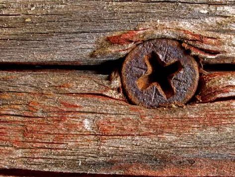 Macro shot of a rusty screw head in a piece of wood. One of the great things about macro photography is that you can find shots in the most unlikely places. Close Up Pictures Of Objects, Rust Drawing Texture, Shells Photography, Texture References, Creative Macro Photography, Macro Photography Abstract, Still Life Sketch, Close Up Art, Aperture Photography