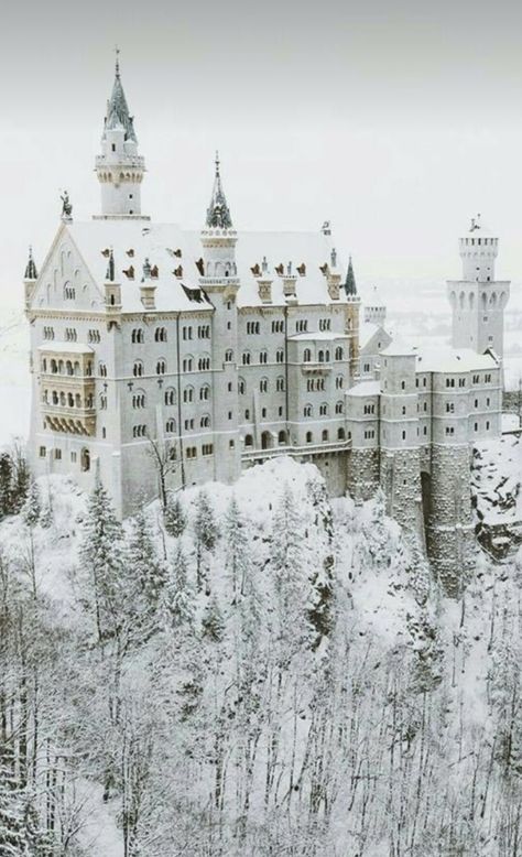 Winter Court, Old Castle, White Castle, Castle Aesthetic, Neuschwanstein Castle, Beautiful Castles, A Castle, Winter Wonderland, Palace