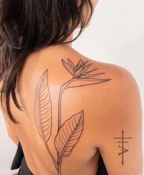 Bird Of Paradise Back Tattoo, How To Design A Tattoo Sleeve, Women’s Back Of Neck Tattoo, Bird Of Paradise Tattoo Black, Paradise Bird Tattoo, Bird Of Paradise Plant Tattoo, Birds Of Paradise Plant Tattoo, Symmetrical Tattoo Women, Tattoo Bird Of Paradise