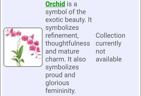 Orchids Meaning, Orchid Meaning Symbols, Moon Orchid Tattoo, Orchid Flower Meaning, Meaning Of Orchids Flower, Orchid Quotes, Orchid Flower Quotes, Orchid Witchcraft, Orchid Symbolism