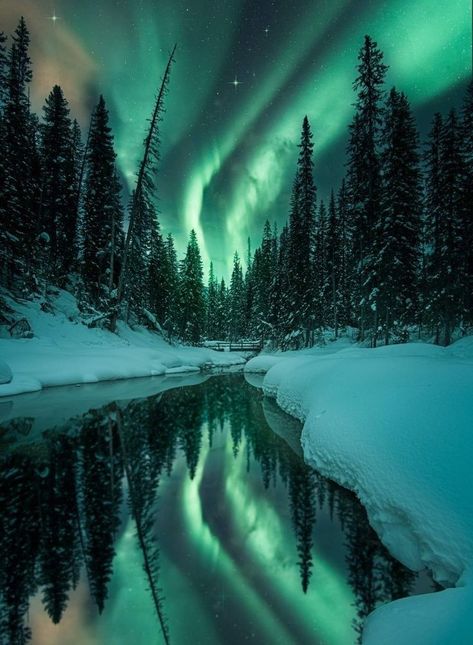 Real Northern Lights, Aurora Borealis Pictures, Nature Photography Night, Photography Night Sky, Sky Aurora, Winter Northern Lights, Alaska Northern Lights, Northern Lights Photography, Dancing Lights