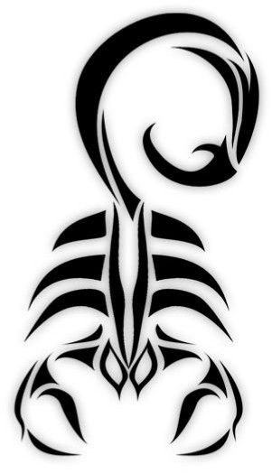 Zodiac Signs Tattoos, Scorpio Tattoos, Scorpion Tattoos, Cool Animal Tattoos, Scorpio Art, Animal Tattoo Ideas, Scorpio Tattoo, Scorpion Tattoo, Zodiac Sign Tattoos