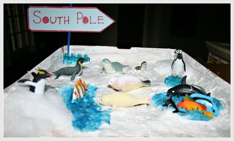 Animals of Antarctica neat diorama style project Polar Activities, First Grade Projects, Penguins Project, Arctic Habitat, Stuffed Penguin, Diorama Kids, Habitats Projects, Frozen Christmas, Kids Homework