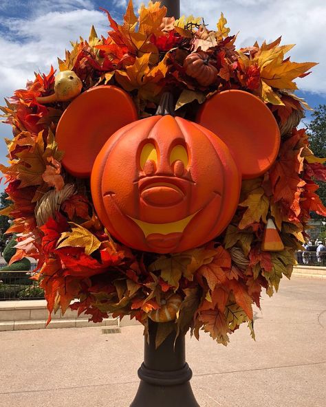 Grace • Wayho Ears on Instagram: “Hello, yes Disney? I’d like one Mickey pumpkin wreath for every door in my house, thank you 🎃 Who else wants these for their home?! 🙋🏼‍♀️…” Mickey Pumpkin Wreath, Disney Halloween Wreath, Mickey Halloween Wreath, Disney Wreath, Disney Halloween Decorations, Disney World Restaurants, Mickey Pumpkin, Halloween Disney, Mickey Halloween