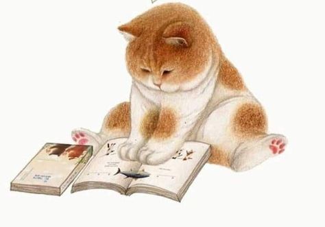 Cat Design Illustration, Cats Art Drawing, Cat Art Illustration, Söt Katt, 강아지 그림, Cat Artwork, Funny Illustration, Reading A Book, Cats Illustration