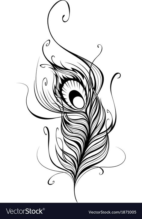 Tattoo Plume, Peacock Feather Drawing, Feather Tattoo Black, Tattoo Stencil Designs, Peacock Feather Tattoo, Peacock Tattoo, Feather Drawing, Feather Vector, Feather Tattoo Design