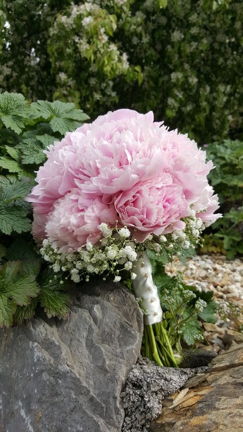 #pink #peony bouquet #gypsophila Pink Peony Bouquet, Wedding Cake Peonies, Gypsophila Bouquet, Pink Peonies Bouquet, Peony Bouquet, Peonies Bouquet, Pink Peony, Bridal Bouquets, Pink Peonies