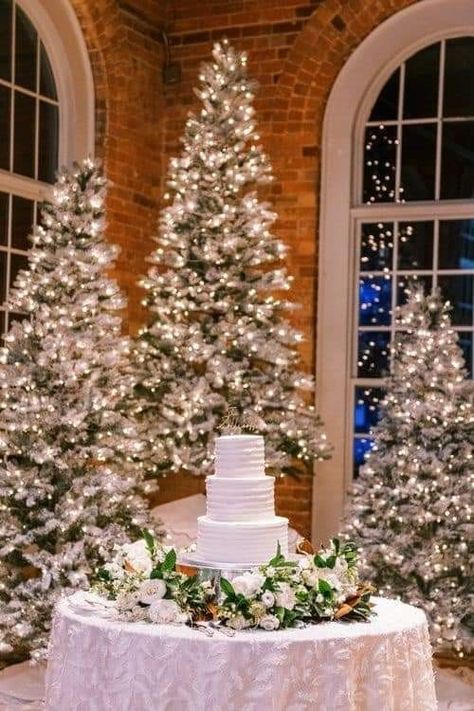 Christmas Wedding Christmas Trees, Intimate December Wedding, Classy December Wedding, Christmas Tree At Wedding, Christmas Trees At Wedding Reception, Winter Wedding Trees, Simple December Wedding, Pink Christmas Wedding Ideas, Christmas Wedding Snacks