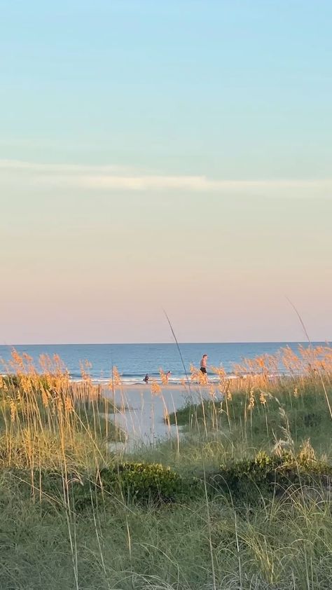 the summer i turned pretty | tsitp | wallpaper | cousins beach | the summer i turned pretty wallpaper Tsitp Aesthetic, Cousins Beach, Belly Conklin, Carolina Do Norte, Beach Grass, Cape Cod Beaches, Coastal Summer, July Baby, The Summer I Turned Pretty