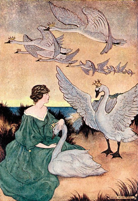 'The Wild Swans' an illustration from 'Hans Andersen Fairy Tales' – Illustrated by Milo Winter. Milo Winter, The Wild Swans, Wild Swans, Andersen's Fairy Tales, 동화 삽화, Arthur Rackham, Fairytale Illustration, Modern Wall Art Canvas, Fairytale Art