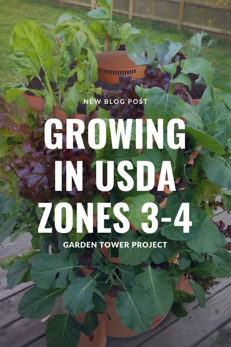 Zone 3 Planting Schedule, Zone 4 Plants, Zone 4 Garden, Zone 4 Planting Schedule, Zone 3b Planting Schedule, Zone 3 Perennials, Zone 4b Vegetable Gardening, Zone 3 Gardening, Zone 4b Gardening