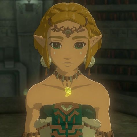 The Legend of Zelda - Tears of the Kingdom #thelegendofzelda #tearsofthekingdom #totk #zelda Tears Of The Kingdom Icon, Totk Zelda, Legend Of Zelda Characters, Princesa Zelda, Legend Of Zelda Memes, Nintendo Princess, Shigeru Miyamoto, Zelda Tears Of The Kingdom, Zelda Cosplay