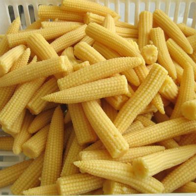 Baby Corn Fry, Popcorn Seeds, Corn Vegetable, Corn Maize, Western Dishes, Growing Corn, Hot Pepper Seeds, Baby Corn, Fresh Potato