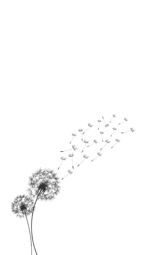 White Lock Screen Aesthetic, White And Grey Asthetics Photos, Black And White Minimalist Art Wallpaper, White Asthetics Background, Grey And White Wallpaper Iphone, White Asthetics Wallpaper Iphone, Black And White Asthetics Wallpaper, Asthetic Picture Wallpaper White, Dandelion Wallpaper Iphone