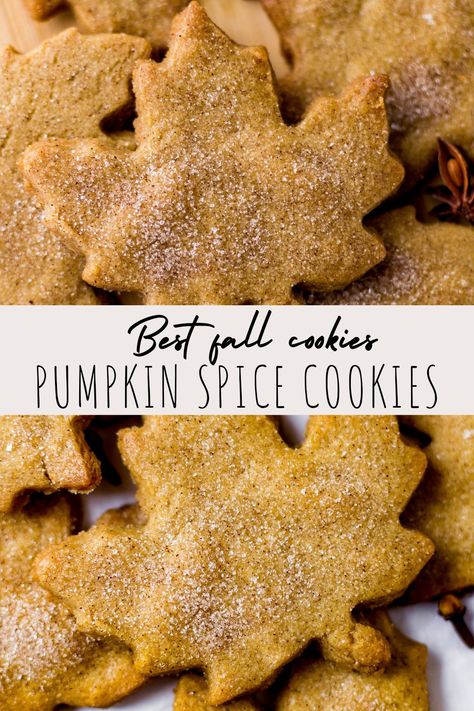 Best fall cookies Pumpkin Spice Rollout Cookies, Recipes With Pumpkin Spice, Pumpkin Cookie Cutouts, Pumpkin Spice Cutout Cookies, Pumpkin Cutouts Cookies, Fall Spice Cookies, Pumpkin Filled Cookies, Fall Cookie Flavors Ideas, Pumpkin Pie Spice Cookies