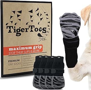 Dog Paw Protection, Paw Protector, Senior Dogs, Dog Boots, Dog Socks, Dog Shoes, Dog Activities, Toe Socks, Pet Care Tips