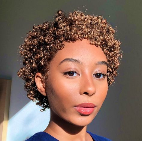 Short Hair Honey Brown, Ginger Big Chop, Curly Big Chop Black Women, Colored Big Chop, Big Chop 3b/3c Hair, 4a Pixie Cut, Big Chop Natural Hair, Short Curly Styles, Finger Waves Short Hair