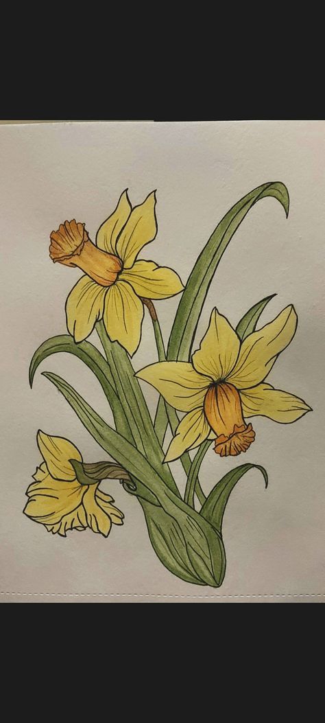 Daphodil Flower Drawing, Drawing Of Daffodils, Daffodil Painting Easy, Daffodil Painting Acrylic Easy, Yellow Roses Drawing, Easter Flowers Drawing, Dafodill Flowers Drawing, Daffodil Line Drawing, Daffodil Flower Drawing