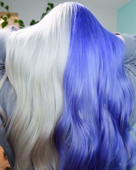 Blonde And Blue Split Dye, Blue Split Dye, Blonde Blue Hair, Blonde And Blue Hair, Split Dye, Split Dyed Hair, Blonde Fashion, Long Hai, Haircut Hairstyle