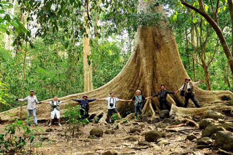 Cat Tien National Park - Travel guide 2022 & 5 highlights Cat Tien National Park, Crazy Houses, South Vietnam, Canoe Trip, Walking Routes, Cycling Route, National Parks Trip, Natural Scenery, Vietnam Travel