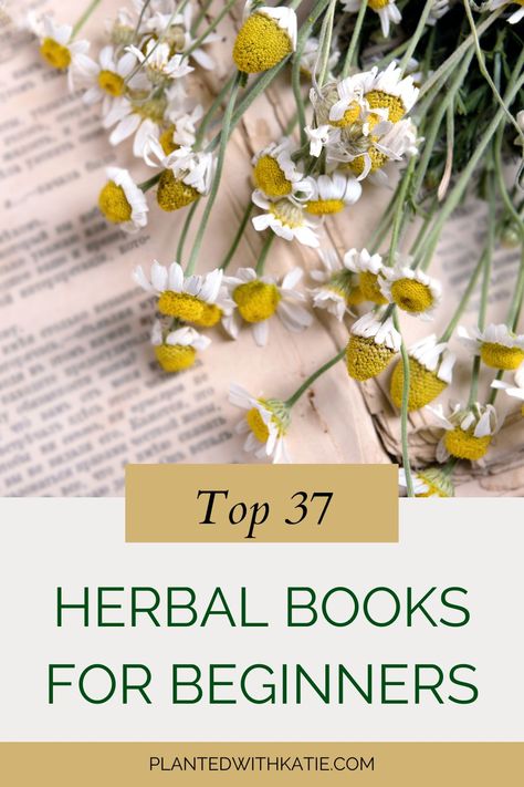 Herbal Books for Beginners Beginners Guide To Herbalism, Herbalism Books, Beginner Herbalist, Herbalism For Beginners, Herbal Books, Ginger And Lemon, Books For Beginners, Herbal Tinctures, Herbal Healing