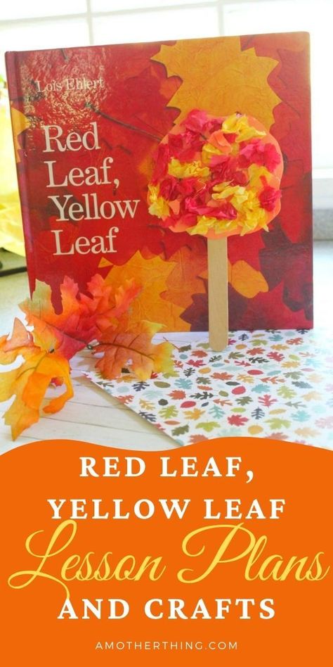 Teach kids about nature, learning about trees and their life cycles with this easy lesson plan featuring activities and crafts for young learners. Leaves Week Preschool, Red Leaf Yellow Leaf Activities, Fall Leaves Preschool, Leaf Lesson Plans, Fall Leaves Activities, Leaf Lessons, Leaf Activities, Lesson Plan Activities, November Preschool