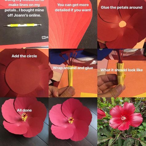 Karina on Instagram: “Template 11 is my go to for hibiscus flowers and I use it for my tropical sets... was inspired by a red hibiscus I found and recreated it…” Make Paper Flowers, Red Hibiscus, Paper Flower Template, How To Make Paper Flowers, Flower Diy, Make Paper, Paper Flower Tutorial, Beautiful Paper, Flower Template