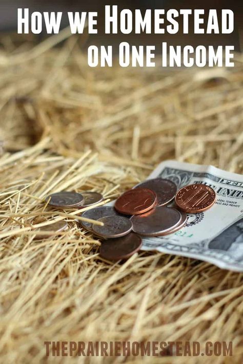 How We Homestead on One Income (Part Two) • The Prairie Homestead Prairie Homestead, Home Equipment, Acre Homestead, Homesteading Diy, Homestead Farm, Homestead Gardens, Homesteading Skills, Homestead Living, Urban Homesteading