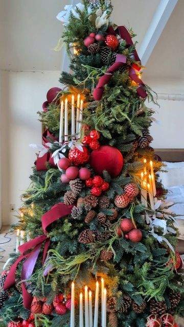 Greenery In Christmas Tree, Amaranthus Christmas Tree, Cypress Christmas Tree Decorated, Candlestick Christmas Trees, Traditional Christmas Tree Topper, Acorn Christmas Tree, Two Christmas Trees Side By Side, Live Christmas Tree Ideas Decorating, Cascading Ornaments On Tree