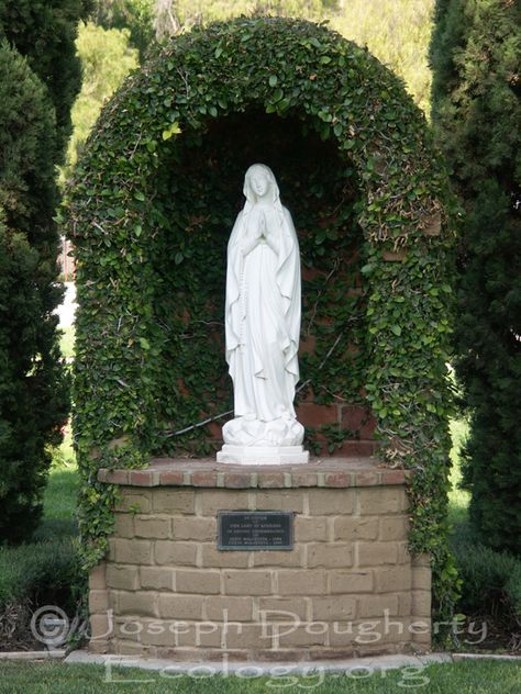 Cemetery statue of Virgin Mary, at the California Mission San Luis Rey de Francia Virgin Mary Grotto Garden, Garden Grotto Virgin Mary, Mother Mary Garden Ideas, Mary Statue Garden, Virgin Mary Statue Garden, Virgin Mary Garden, Mary Grotto, Mission San Luis Rey, Virgin Mary Shrine