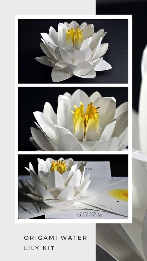 Oragami Paper Water Lily Crepe Paper Water Lily, 3d Water Lily Craft, Water Lily Craft, Paper Water Lily, Origami Water Lily, Pond Crafts, Lily Centerpieces, Origami Decor, Paper Mosaic