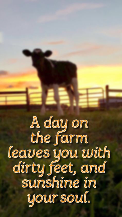 Farm Sayings And Quotes, Farm Life Quotes Inspiration, Farm Kid Quotes, Farm Quotes Inspirational, Quotes About Farmers, Farm Quotes Funny, Farmer Quotes Farm Life, Cow Jokes, Country Life Photography