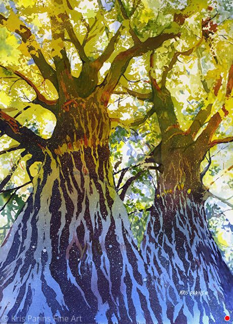 Elizabeth's Canopy by Kris Parins, Watercolor, 29 x 21 Watercolour Trees, Cottonwood Tree, Silk Paintings, Trees Art, November 19th, Tree Canopy, Arches Paper, Watercolor Trees, Tree Leaves